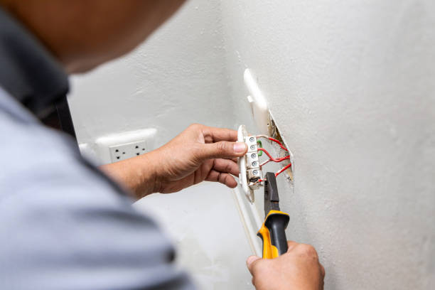 Best Electric Panel Repair  in Frankton, IN